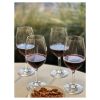 Plastic Wine Glasses Set of 4